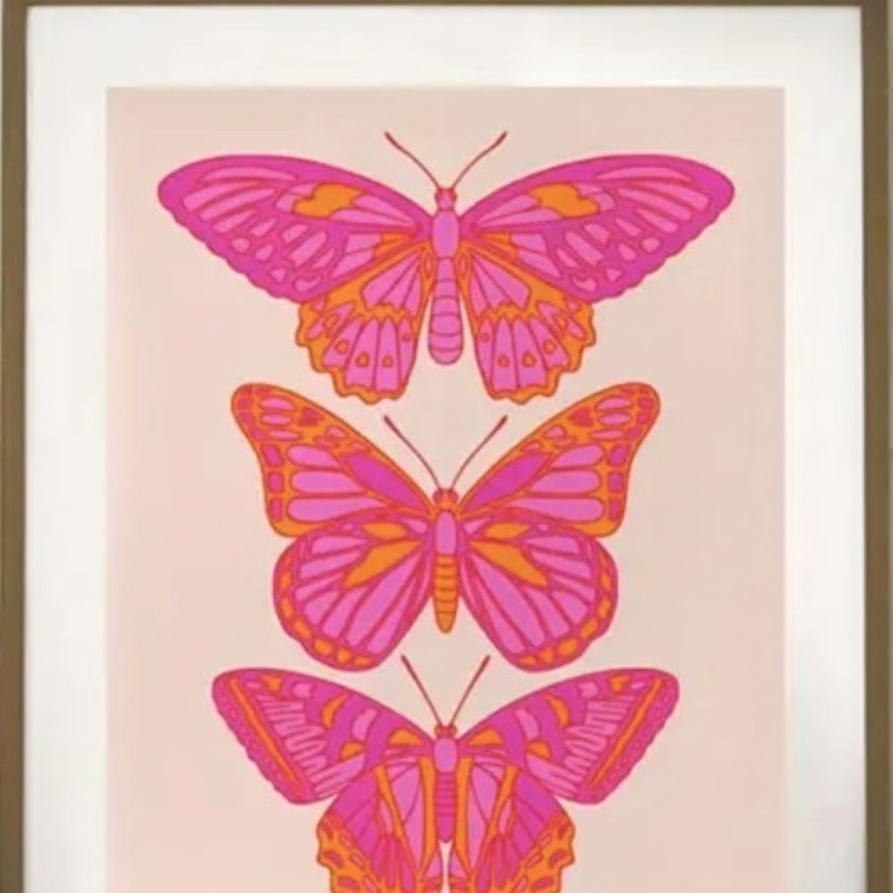 16.5"L x 12"W Retro Bright Pink & Orange Butterflies Butterfly Canvas Art Print